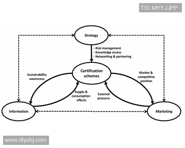 深入分析广州羽毛球队的运营策略与发展模式探讨
