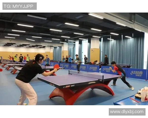 杨磊谈乒乓球生涯回顾与未来展望的深度专访