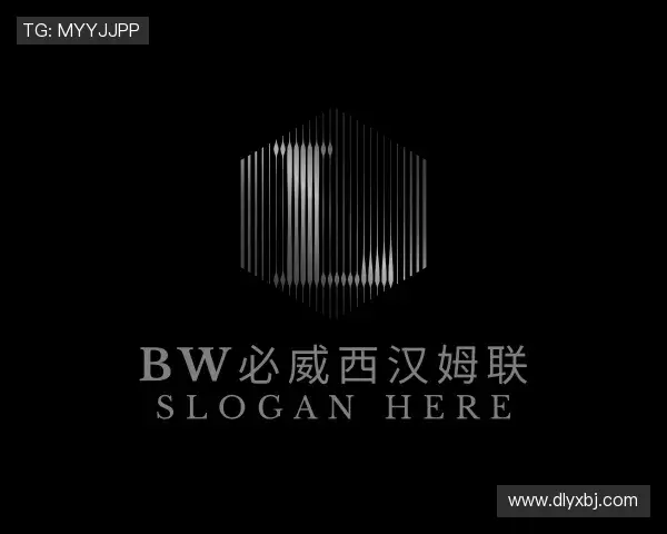 关于bw必威西汉姆联